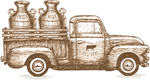 illustration-icon