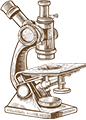 illustration-icon
